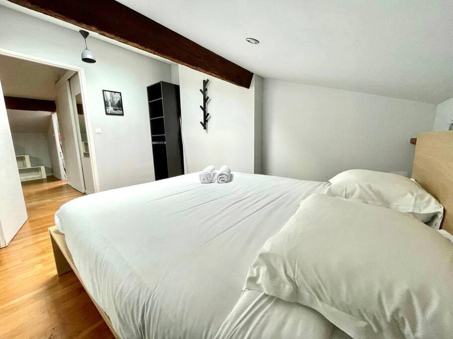 Le Charmeur - Appartement Climatise Avec 2 Chambres - Hypercentre Toulouse Luaran gambar